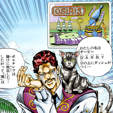 D'Arby with his cat