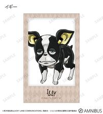 AMNIBUS Instant Camera Illustration Card