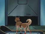 Testing Chamber OVA.png