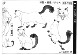 Luxury Cat Model Sheet.png