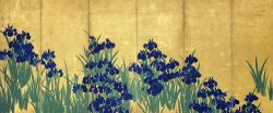 KORIN-Irises-L.jpg