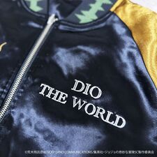 Dio Reversible Sukajan 19.jpeg