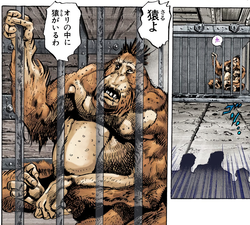 Forever's first appearance, in his cage