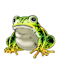Green Strengthening Frog