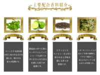 NOZGhiaccioIngredients.png