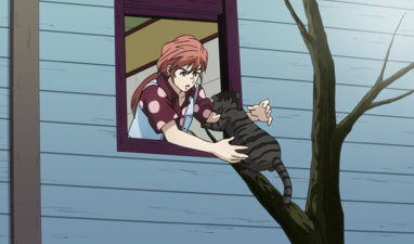 Shinobu lets the family cat back inside